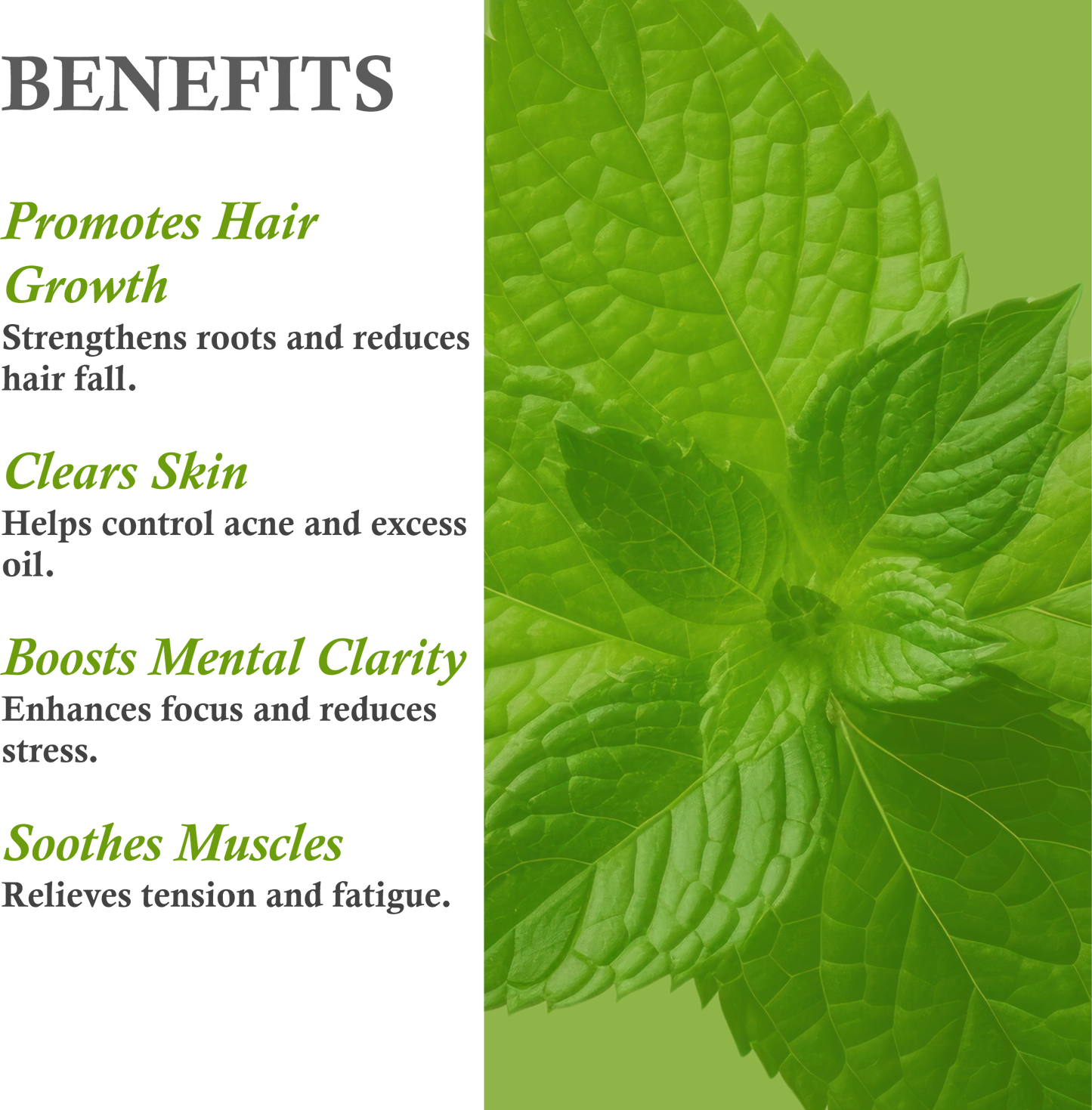 Khadi Basil Essential Oil 10 ml