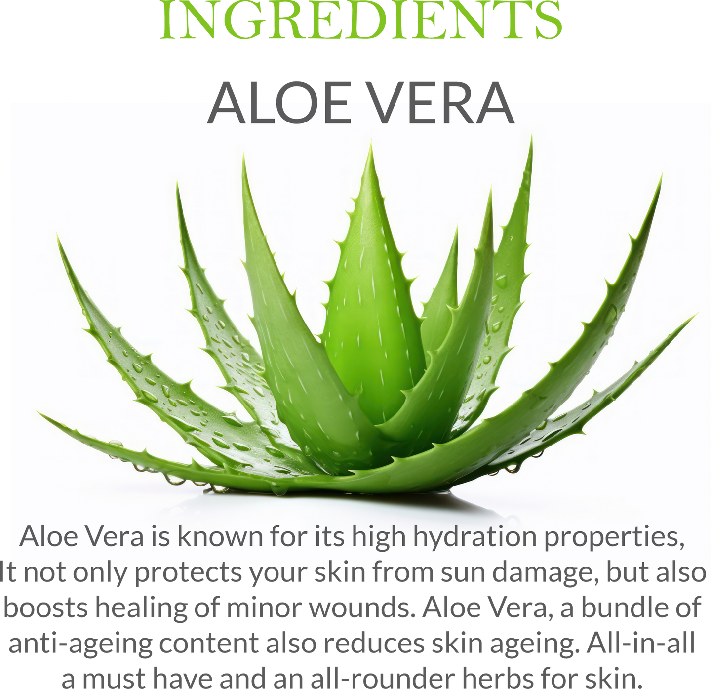 Mountain Ayurveda Aloe Vera 200g