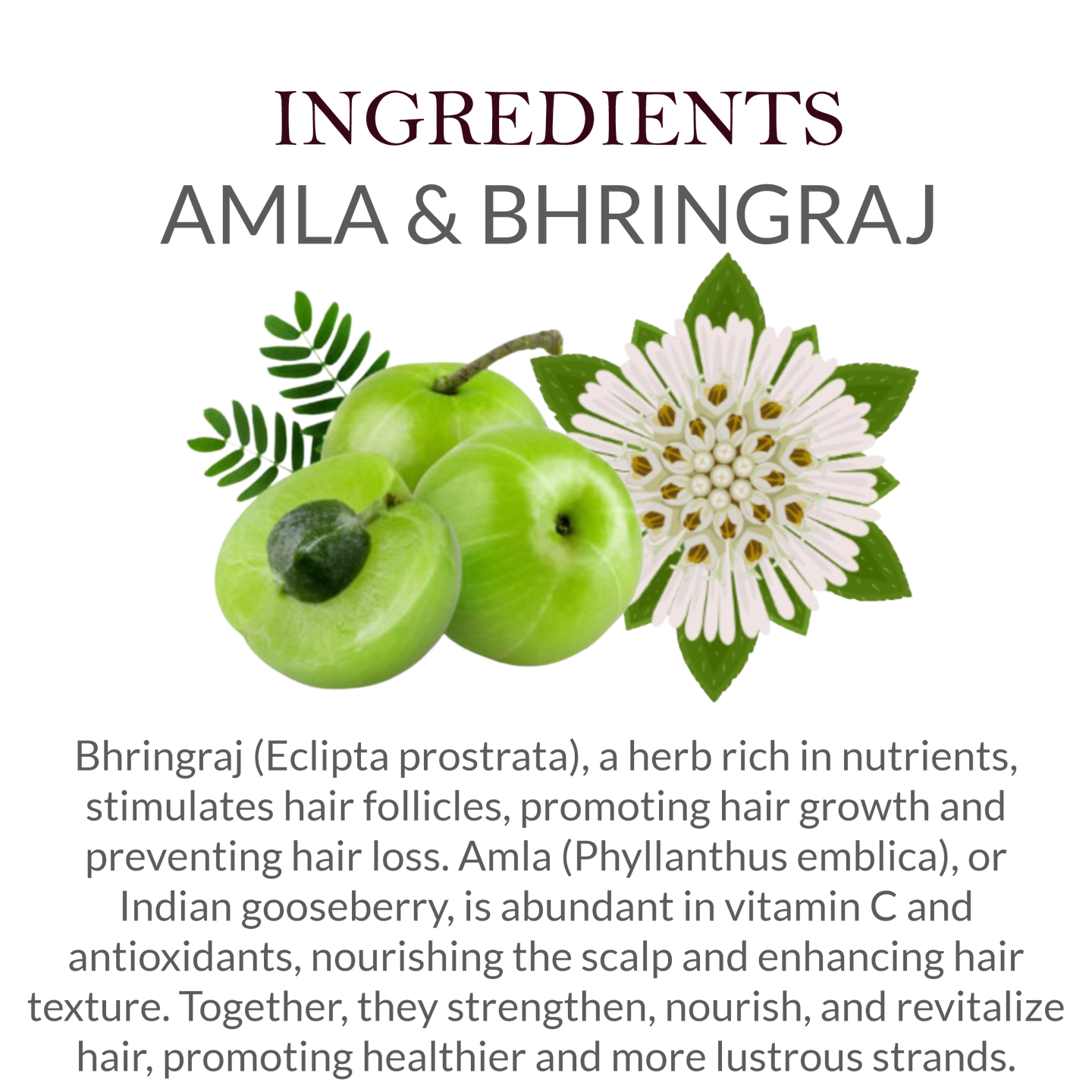 khadi amla bhringraj shampoo