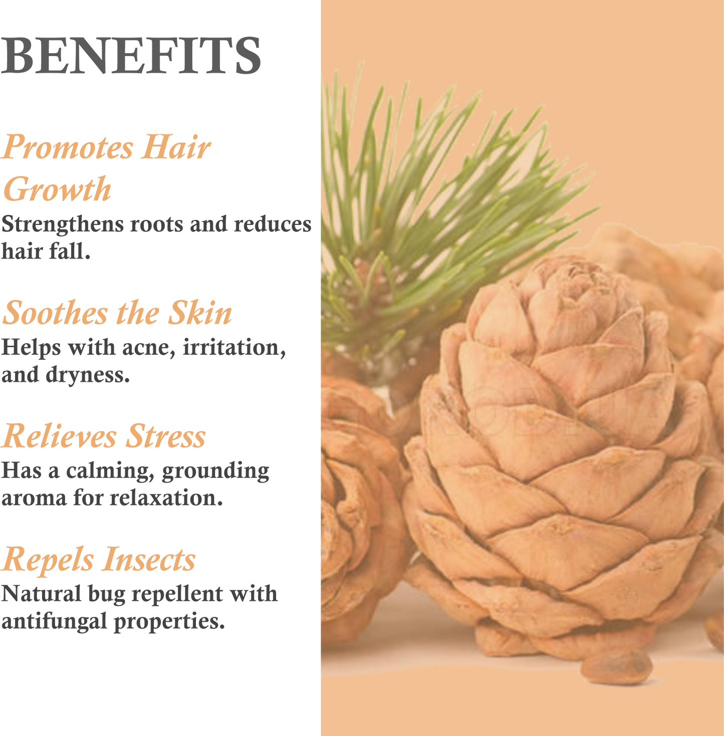 Benefits of Cedarwood Essential Oil – Promotes Hair Growth, Fights Acne, and Relieves Stress