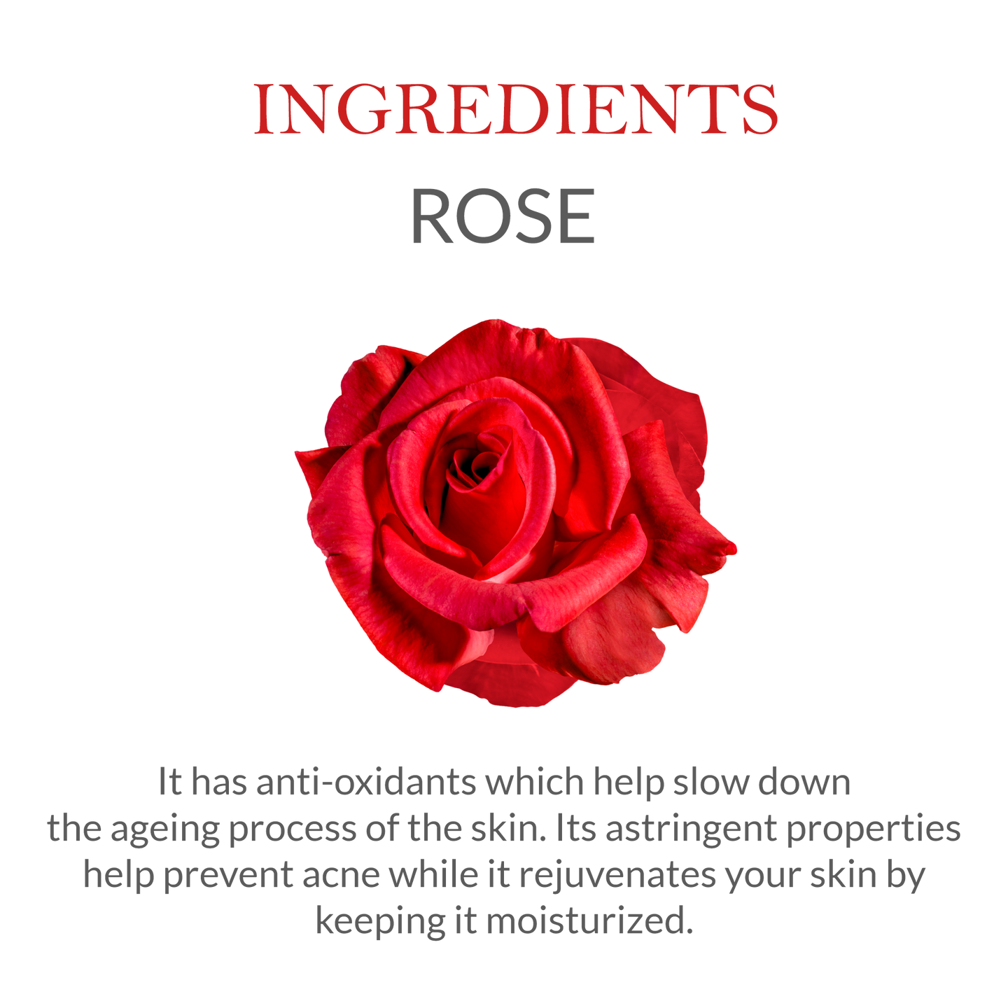 Natural Ingredients in Janakshahi Rose Water – Pure Rose Extract